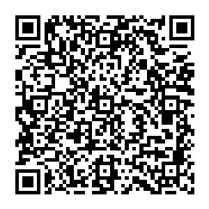 因为她已经熟悉到可以花一个小时不到的时间就用这个世界的材料做出一把资质近乎完美的小提琴二维码生成