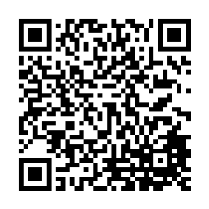 因为她此时已经完全和那巨大的黑手臂弹出的灭魂引纠缠在一起二维码生成