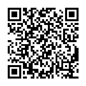 因为宇宙之主这个境界并不在仙界对异界的设定之中二维码生成