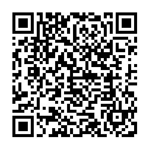 因为对方说不定在某一时刻就会因为本体承受不住那么恐怖的威力而自爆二维码生成