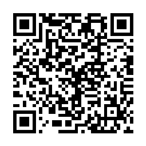 因为就他所知很多器灵成长到一定程度都是可以以实体出现二维码生成