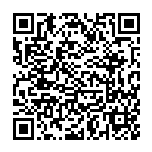 因为尼克归根到底还是软弱的――他也为自己的软弱感到了隐隐的羞耻二维码生成