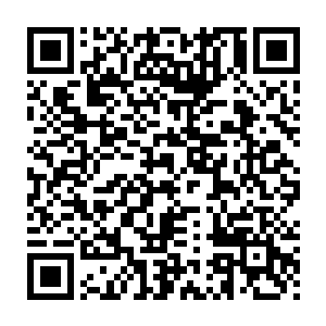 因为巨火神族的那巨人给他们带来的压迫感和威压实在是太强大了二维码生成