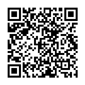 因为已经有一管枪从医务室的里面伸出来指着我的头了二维码生成