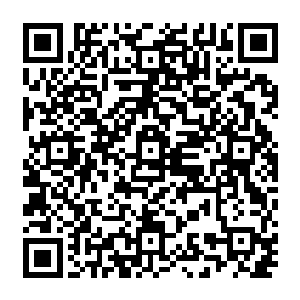 因为幼小时的无力和几乎都经历过被抢夺的残酷和成年长辈因为保护的各种粗暴战斗二维码生成