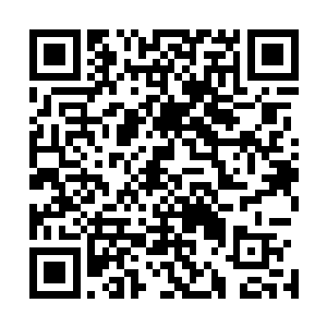 因为当他们还以为海角城的诸多强者还在镇守海角城的时候二维码生成