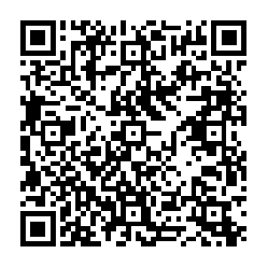 因为当初在塞尔内斯战区张穆神几乎就没有在正式的战斗中被翼魔从天空之中击落过二维码生成