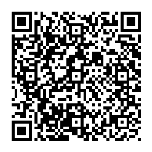 因为很少有人见过真的先天武者 他们是什么样的一群人 他们是怎样找到那条路的二维码生成