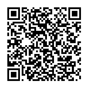 因为性格火爆的大丫和小花分别跟随在林暮雪和林思雨的身边充当保镖二维码生成