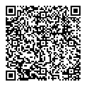 因为我也没办法确定她们到底是因为外界的精神受到刺激而发生病变还是内部的身体器官或者大脑出现问题而出现病诊二维码生成