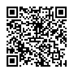 因为我们京都文学协会马上就会升格为帝国文学协会的分会二维码生成
