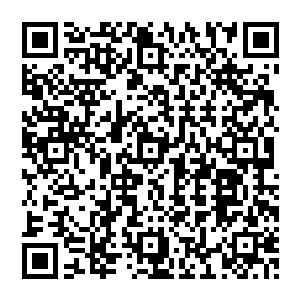因为我们赶走了所有侵略者|因为我们亲手一点一滴的建造起了现在全世界瞩目的现代化国家二维码生成