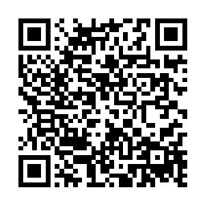 因为我的目标如今已经定格在了边境的七个大中枢之一二维码生成