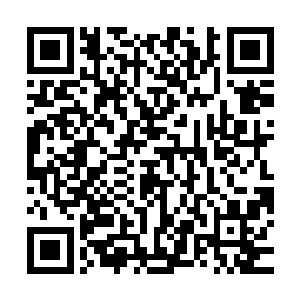 因为接下来他还真的得去炼化一些类似玄界珠或者无定山的宝物二维码生成