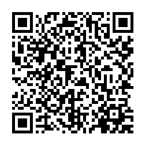 因为无法完全信任那帮不靠谱的猴子猴孙石猴不得不每夜起来数次查岗二维码生成