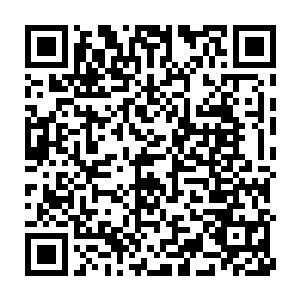 因为木国王城城卫军突然之间在这个阳光明媚的下午发动了军事政变二维码生成