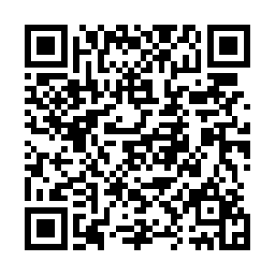 因为桑巴国再一次的在他们与鸡肉卷国的交界处布置了重兵二维码生成