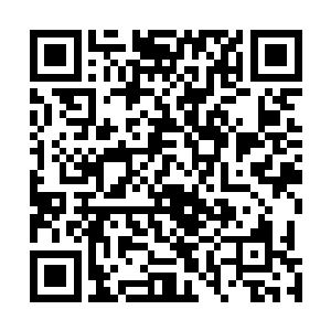 因为每一个出现在排行榜上的名字都是工作室实力的体现二维码生成