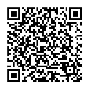 因为水底的栅栏已经被她和罗林偷偷撕开了一个可供一人通过的口子二维码生成
