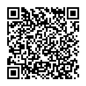 因为没人敢在元婴进不了的风卷峡谷里面得罪鬼幽这样几乎无敌的人二维码生成