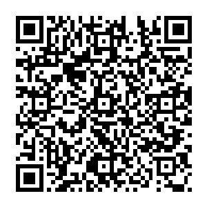 因为流墨墨丢人进来的动静而吸引过来的众宠都一脸莫名的瞅着几人似乎发生了什么二维码生成
