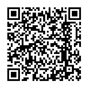 因为熊孩子的异能在整个大灾变后的异能史中几乎都没有任何记载二维码生成