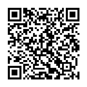 因为现在佣兵之城对于佣兵协会的实际作用已经非常低了二维码生成