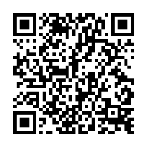 因为现在只有我能够控制这无法使用任何法术的笼子了二维码生成