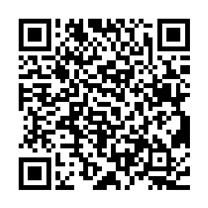 因为现在的李娜与刚才喝酒时候的李娜完全就好像是两个人似的二维码生成