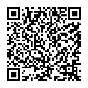 因为现在的隐蝠在他们眼中就好像变成了一个毫无抵抗力的木乃伊一样二维码生成