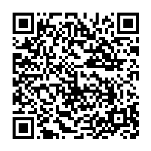 因为现在这个时候在这里作业的渔船大家几乎都是从事同一行当的二维码生成