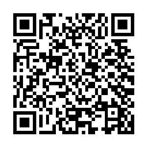 因为白小仙在将他的小世界具现化成为大世界之后就离开了地球二维码生成