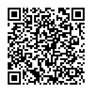 因为目睹好几条火人翻滚着从车身跌落下来翻滚惨呼的模样太过震撼了二维码生成