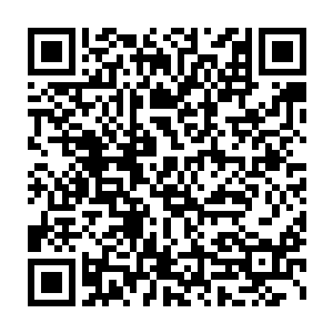 因为相关的电视宣传是提前一周多就已经开始在hunan卫视滚动播放了二维码生成
