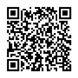 因为真的是第一次有人敢这样和炼丹工会的会长这样说话二维码生成