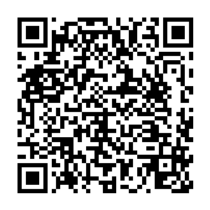 因为眼下的这局势已经到了他不拼命已经没有办法再继续下去的地步啊二维码生成