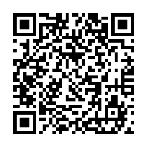 因为确实有很多人蠢到了你不点破他就不明白的地步二维码生成