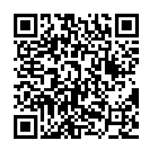 因为秦五在事出的那天应该是和秦家的少爷在秦家的玉林城巡视二维码生成