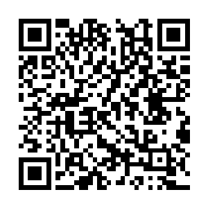 因为秦方出手都是一次又一次的叠加在一起的伤害二维码生成