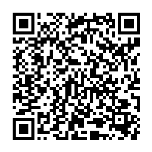 因为第一镇守地的忍者将樱子在三路河的战斗全部给他们说了一个遍二维码生成