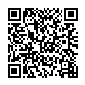 因为箭毒木的树汁的特征是见血才会产生一系列的化学反应二维码生成