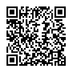 因为经历过无数次厮杀和战斗的他心里最为清楚一个道理二维码生成