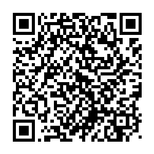 因为绿林这个世界承载了她活下去的方式……所以这次的打击之大二维码生成