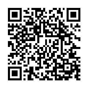 因为苏凡在他们被堵截的前几分钟的时候才打了一个电话二维码生成
