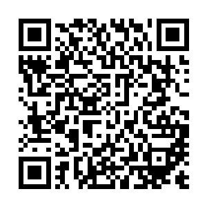 因为谁也想不到一个每年春天被海水淹没的地方竟然是基地二维码生成