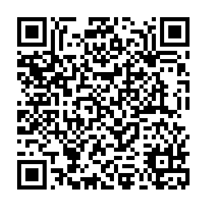 因为这个人在下载这些关键数据的同时还同时对数据进行了细微的调整改动二维码生成