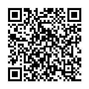 因为这个玉简里所罗列出来的灵草种类比木萦木家看到的二维码生成
