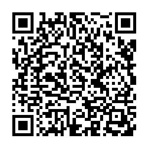 因为这些人竟然都是瓦克城中那些拥有一定名气的大型佣兵团的团长二维码生成