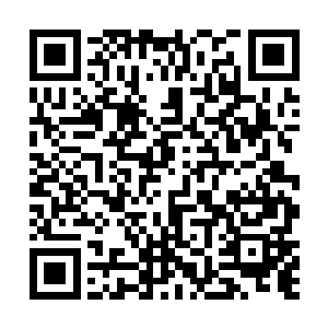 因为这六位女性修真者身上的烧伤和王璇几乎一模一样二维码生成