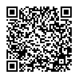 因为这家伙竟然是在担心现在怀孕的苏洛到时候有什么孕妇的症状的话二维码生成